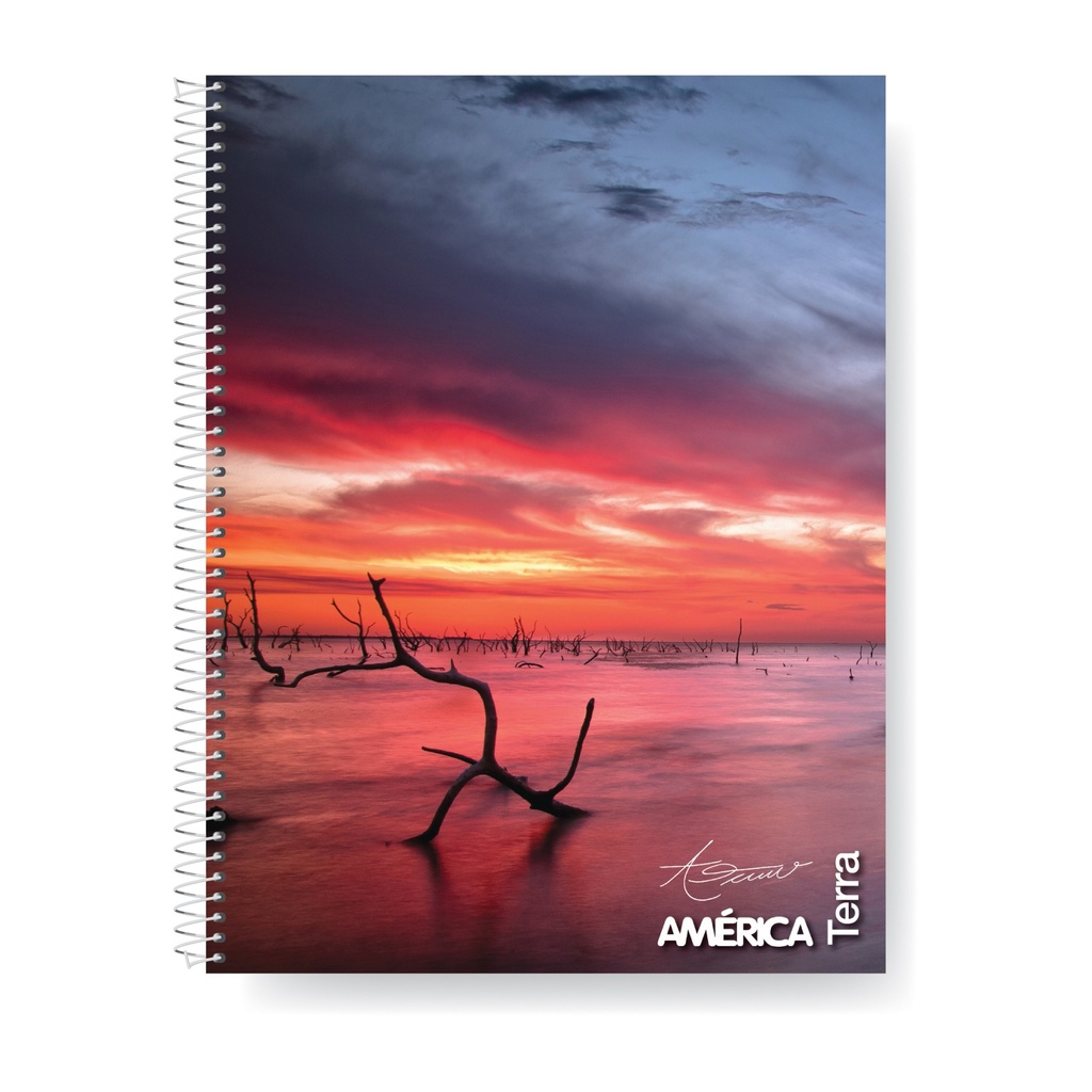 CUADERNO AMERICA TERRA ESPIRALADO 16X21 80 HOJAS RAYADAS