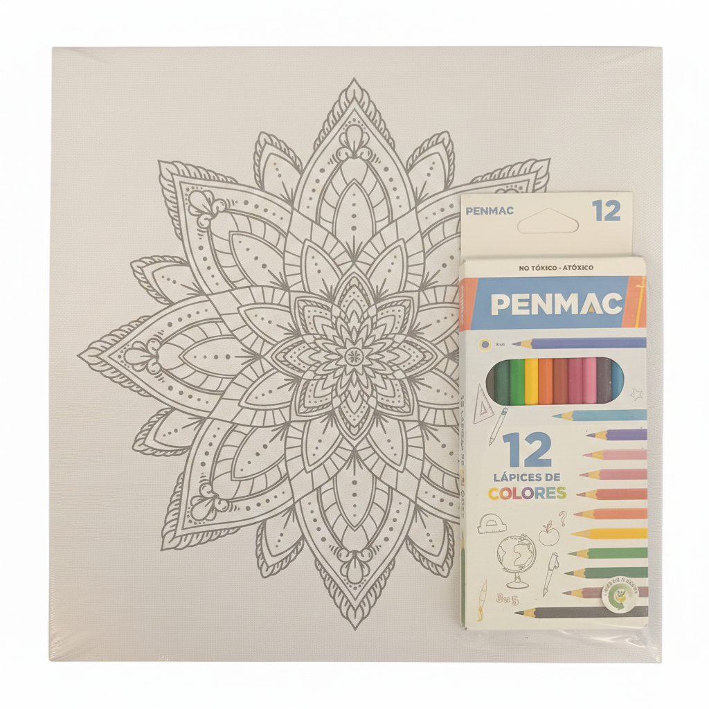 BASTIDOR PREDISEÑADO 30X30MM + 12 PINTURITAS VARIOS DISEÑOS