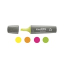 RESALTADOR CARIOCA ECOFAMILY X4