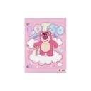 CARPETA 2 TAPAS Nº3 MOOVING LOTSO