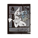 CARPETA 3 SOLAPAS OFICIO MOOVING LOONEY TUNES