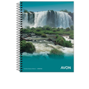 CUAD.AVON C/ESPIRAL 16X21 84H CUADRICULADO