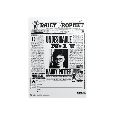 CUADERNO MOOVING 16X21 T/F 48H HARRY POTTER