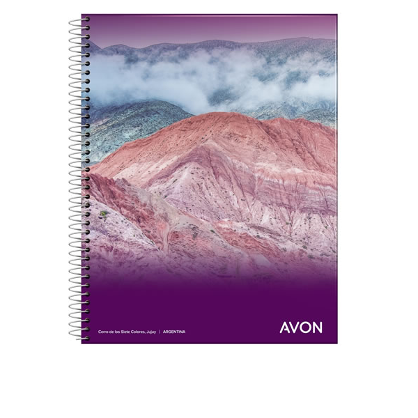 CUAD.AVON C/ESPIRAL 22X29 84H CUADRICULADO