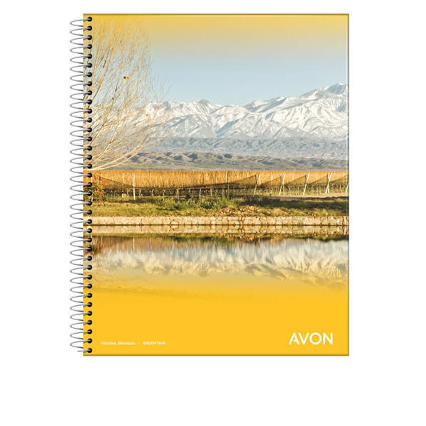 CUAD.AVON C/ESPIRAL 22X29 84H CUADRICULADO
