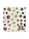 CARPETA 2 TAPAS Nº3 REXON BORN TO SHINE