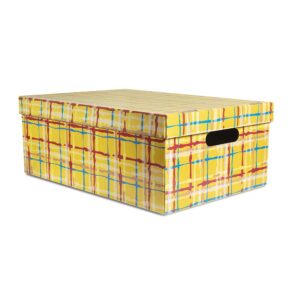 CAJA ESCOSES GRANDE 48X33X15 COLORES SURTIDOS