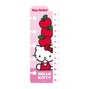 SET REPUESTO PARA CUADERNO MOOVING LOOP A5 HELLO KITTY