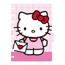 SET REPUESTO PARA CUADERNO MOOVING LOOP A5 HELLO KITTY