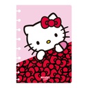 SET REPUESTO PARA CUADERNO MOOVING LOOP A5 HELLO KITTY