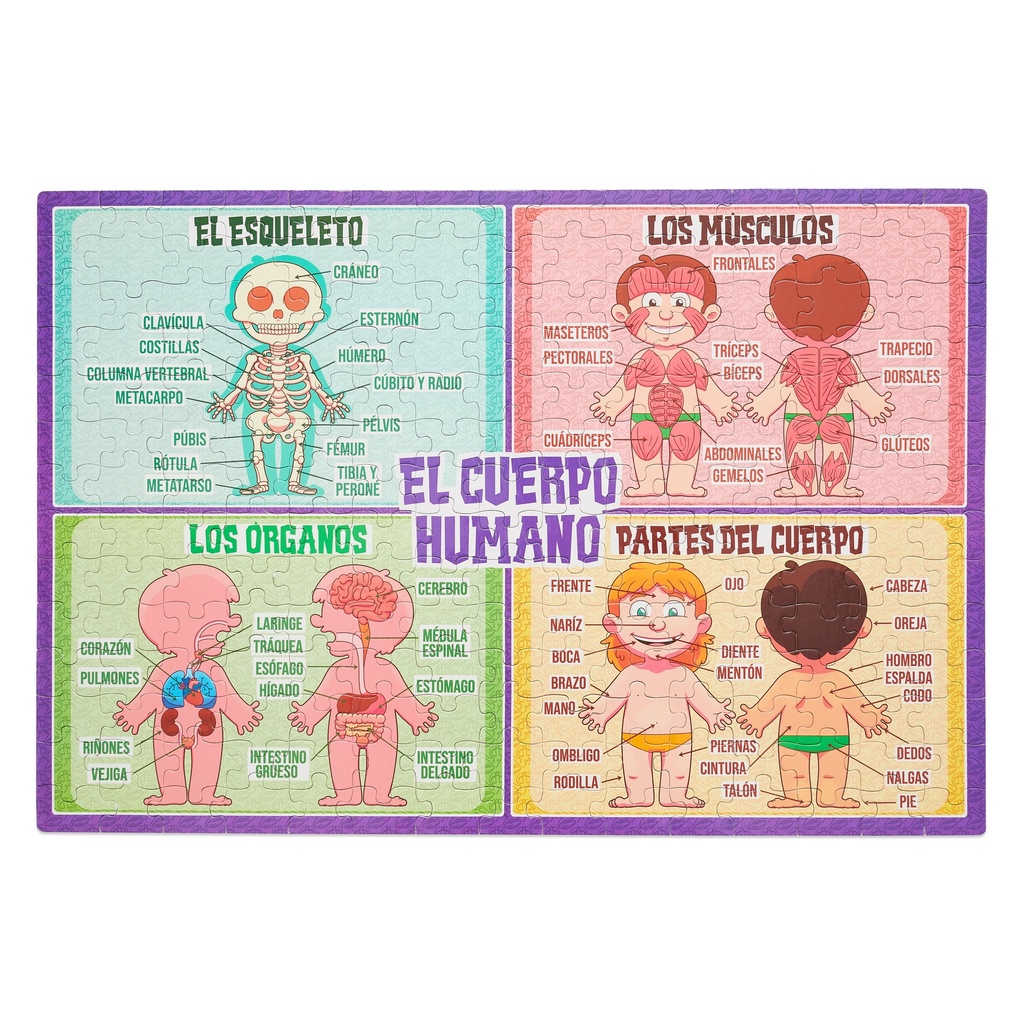 ROMPECABEZAS BARCO DE PAPEL 210 PIEZAS - CUERPO HUMANO