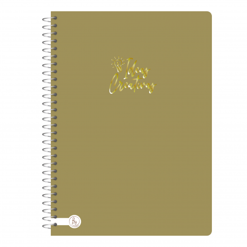 CUAD.RY 1075 20X28 ANILLADO METAL COLOR 80H RAYADO