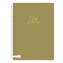 CUAD.RY 1075 20X28 ANILLADO METAL COLOR 80H RAYADO