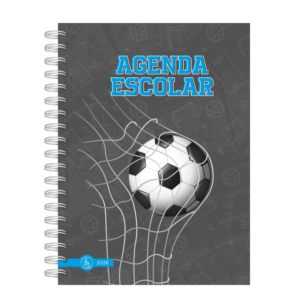 AGENDA RY15X21 SV 8009 ESCOLAR