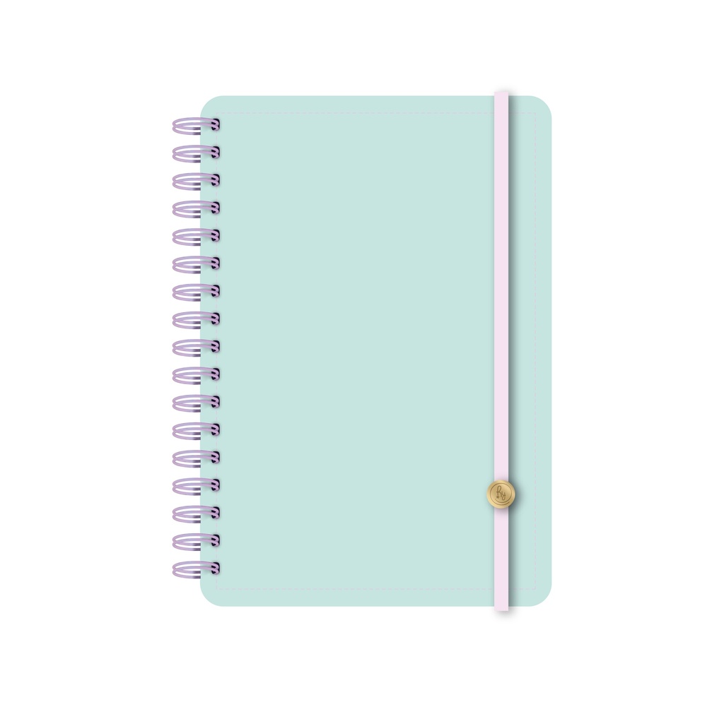 AGENDA RY 15X21 DXP 3011 PU DIARIA