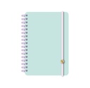 AGENDA RY 15X21 DXP 3011 PU DIARIA