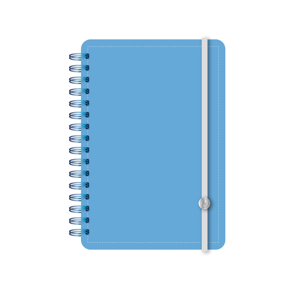 AGENDA RY 15X21 DXP 3011 PU DIARIA