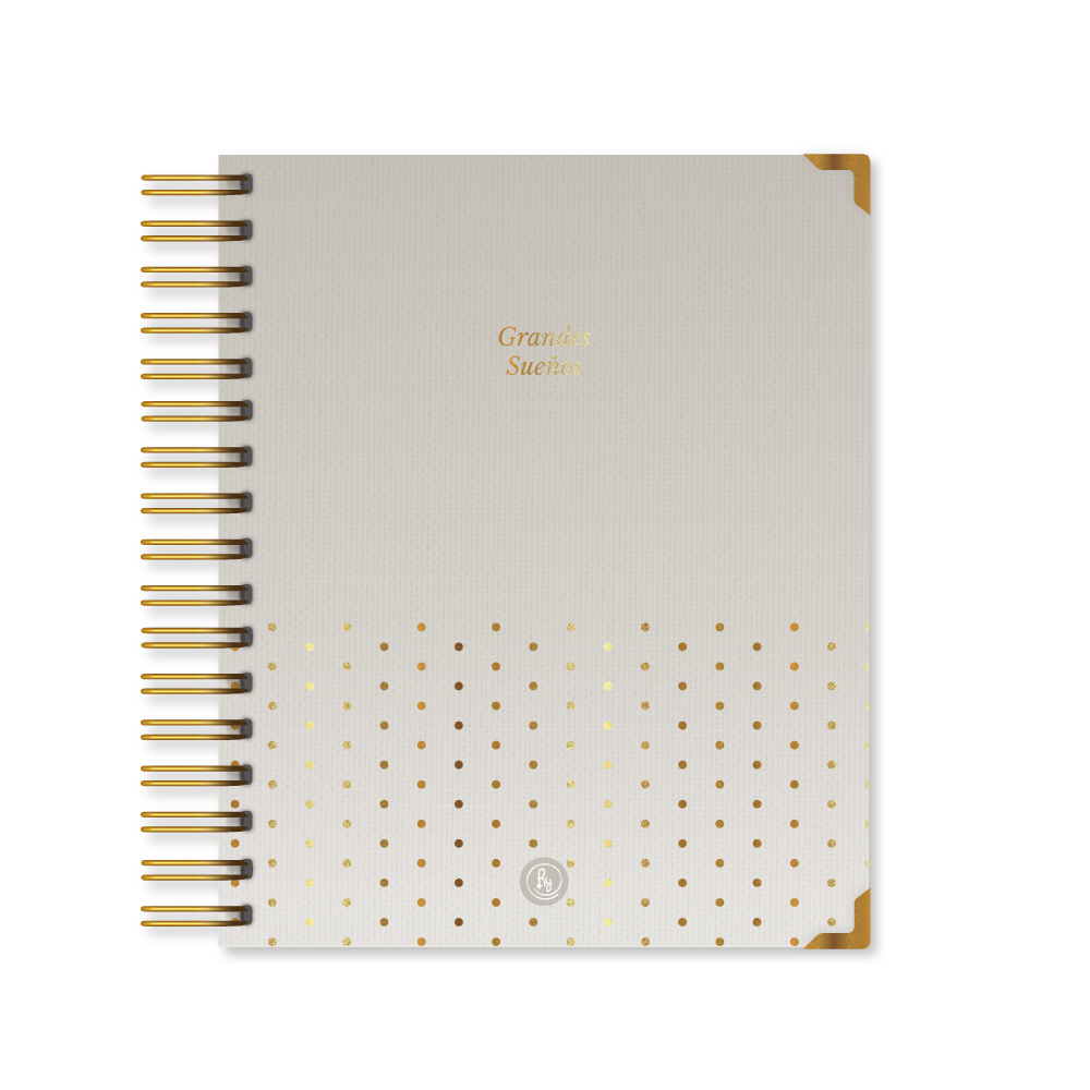 CUADERNO RY 17X21 ANILLADO DELUXE 160 HOJAS HIGH