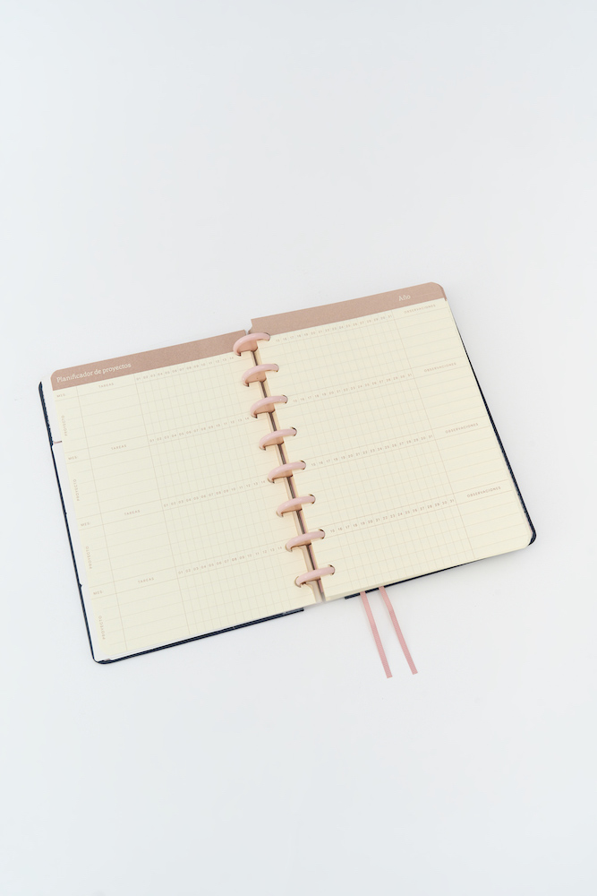 AGENDA FW 15X21 SV CON DISCOS JOY