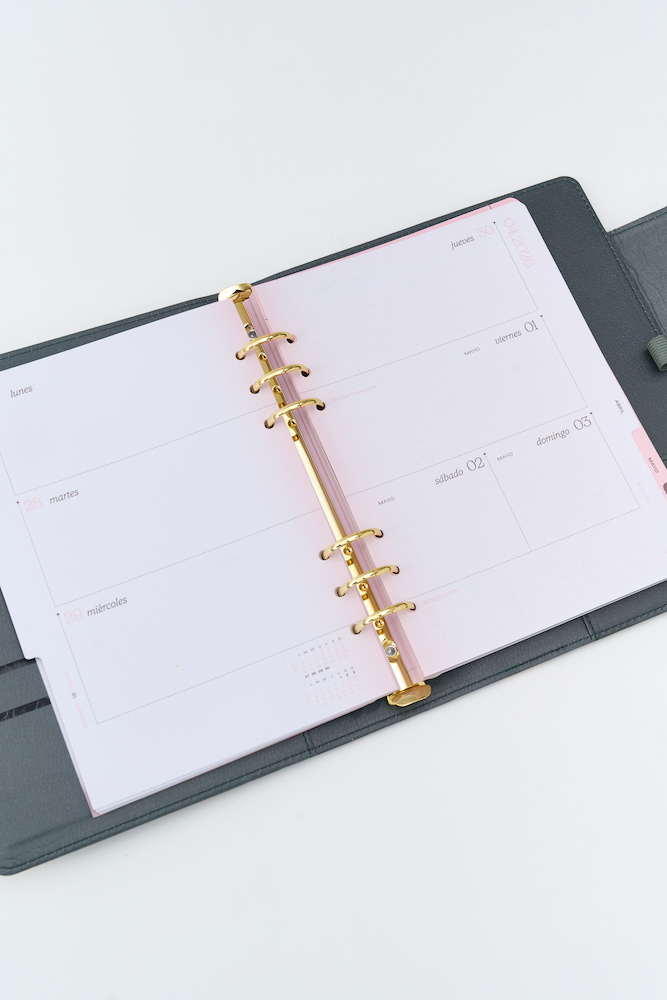 AGENDA FW 15X21 SV CON BROCHE TIMELESS