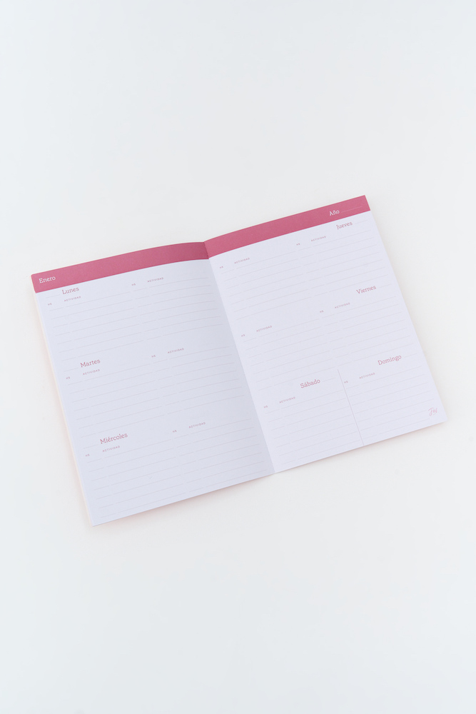 AGENDA FW 15X21 SV PERPETUA KIT X 12 CAPITULOS