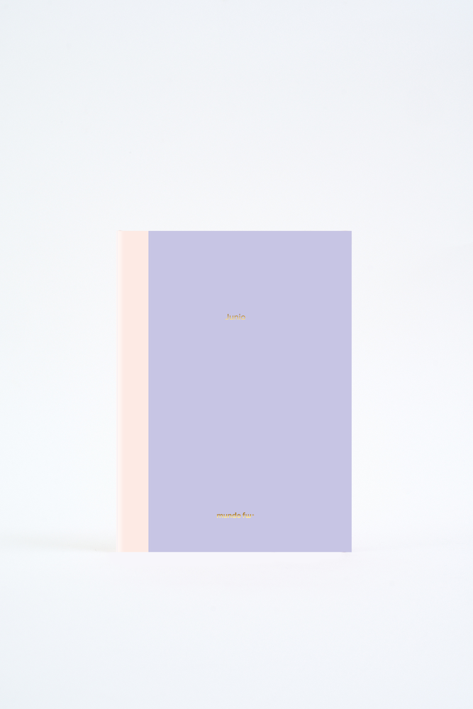 AGENDA FW 15X21 SV PERPETUA KIT X 12 CAPITULOS