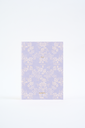 AGENDA FW 15X21 SV PERPETUA KIT X 12 CAPITULOS