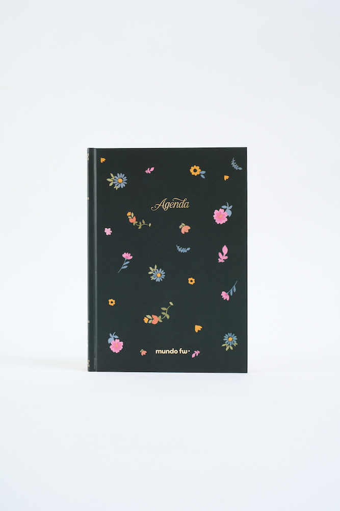 AGENDA FW KIT DREAMER X 3 (AGENDA PERPETUA+SKETCHBOOK+BULLET)