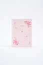 AGENDA FW KIT DREAMER X 3 (AGENDA PERPETUA+SKETCHBOOK+BULLET)