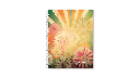 CUADERNO  22X29 LINEA 16 LC TAPA BLANDA 70HOJAS RAYADA