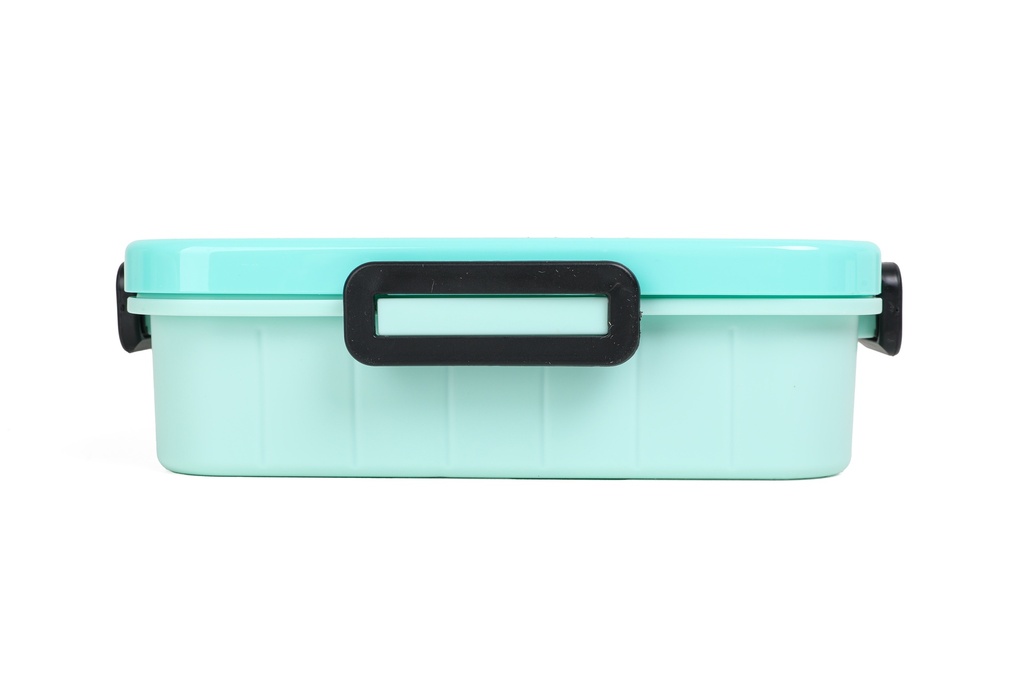 LUNCHBOX DRAGON