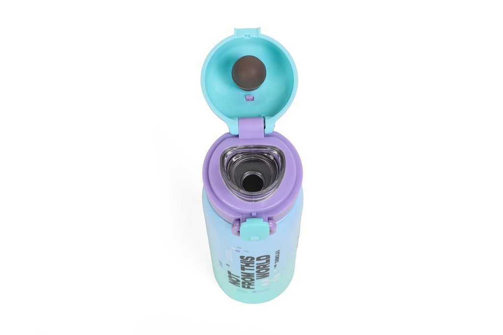 BOTELLA TERMICA 500ML TECH