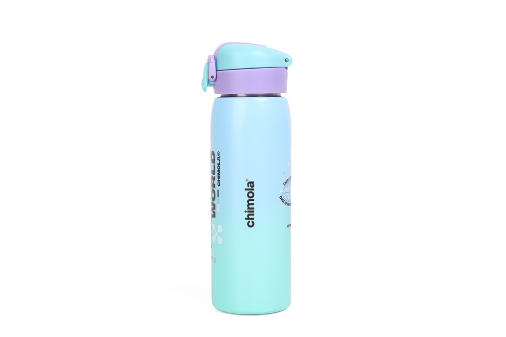 BOTELLA TERMICA 500ML TECH