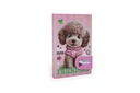 LIBRETA CHIMOLA A5 MY JOURNAL POODLE