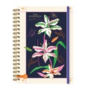 CUADERNO RY A5 ANILLADO 15x21cm 80 HOJAS RAYADAS LINEA ECO CHIC 1016
