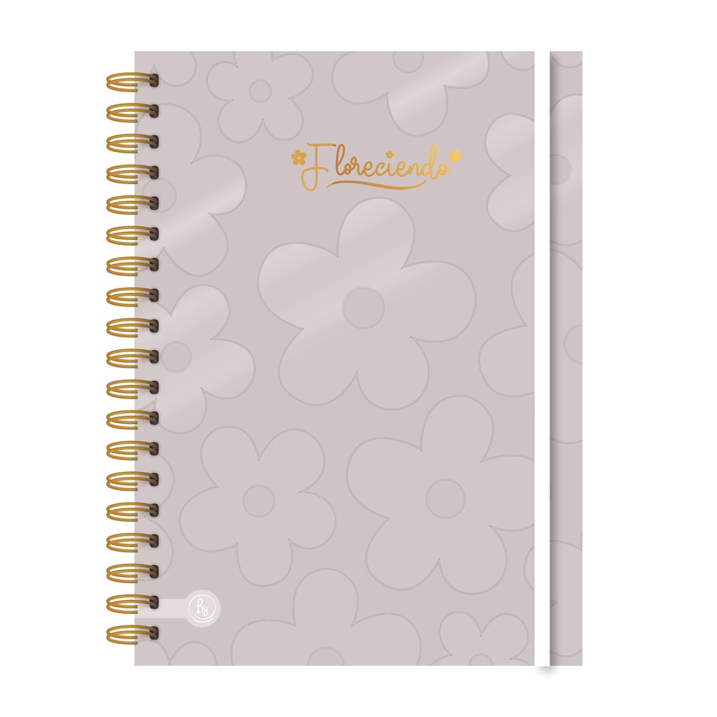 CUADERNO RY A5 15X21 ANILLADO 80 HOJAS PASTEL 1100
