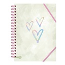 CUADERNO RY UNIVERSITARIO 20X28 ANILLADO TAPA DURA 100 HOJAS ACUARELA 1086