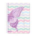 CUADERNO RY UNIVERSITARIO 20X28 ANILLADO SEMI RIGIDO 80 HOJAS MIX 1074