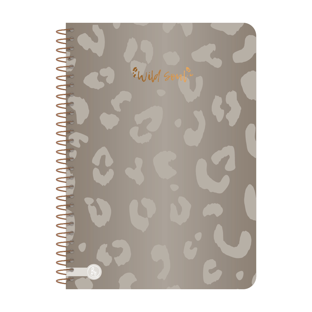 CUADERNO RY UNIVERSITARIO 20X28 ANILLADO SEMI RIGIDO 80 HOJAS PREMIUM METAL 1075