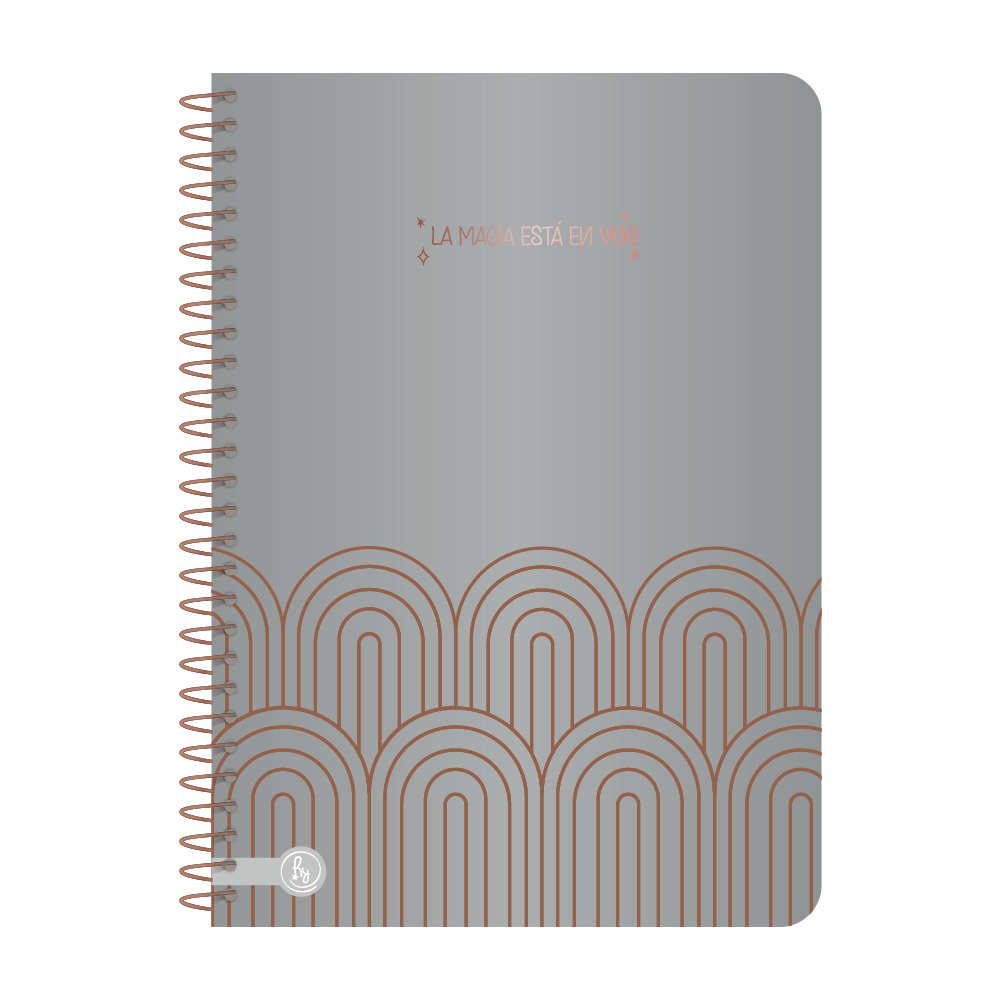 CUADERNO RY UNIVERSITARIO 20X28 ANILLADO SEMI RIGIDO 80 HOJAS PREMIUM METAL 1075