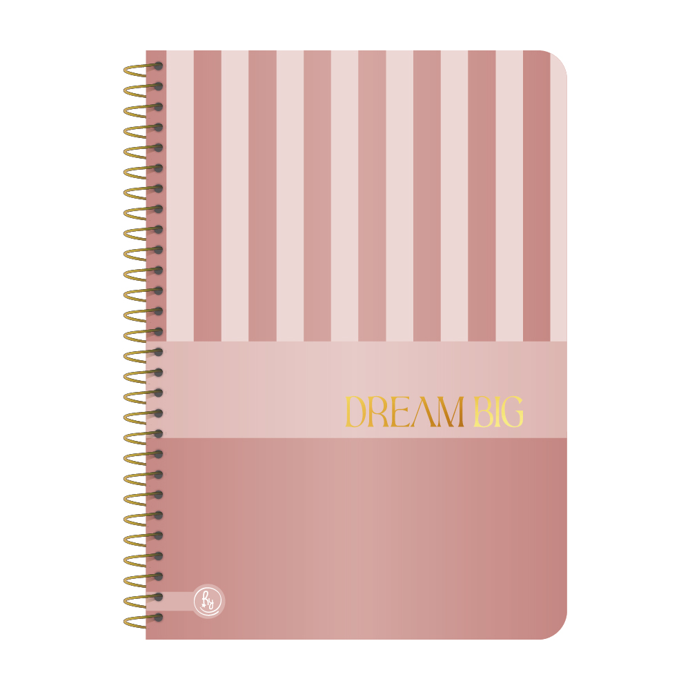 CUADERNO RY UNIVERSITARIO 20X28 ANILLADO SEMI RIGIDO 80 HOJAS PREMIUM METAL 1075