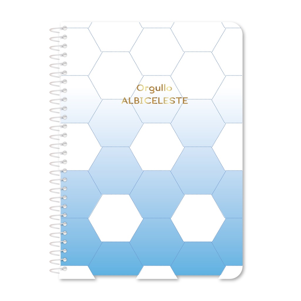 CUADERNO RY UNIVERSITARIO 20X28 ANILLADO SEMI RIGIDO 80 HOJAS GOALS 1133