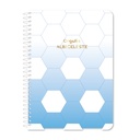 CUADERNO RY UNIVERSITARIO 20X28 ANILLADO SEMI RIGIDO 80 HOJAS GOALS 1133