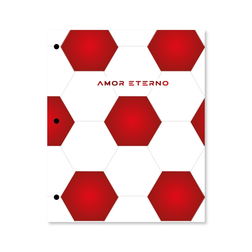 CARPETA 2 TAPAS Nº3 GOALS