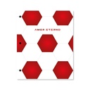 CARPETA 2 TAPAS Nº3 GOALS