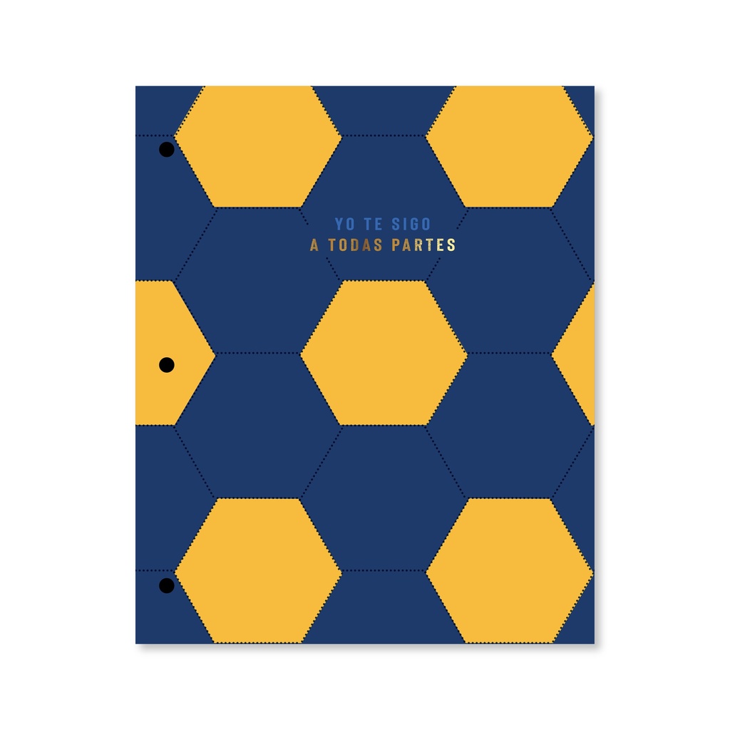 CARPETA 2 TAPAS Nº3 GOALS