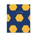 CARPETA 2 TAPAS Nº3 GOALS