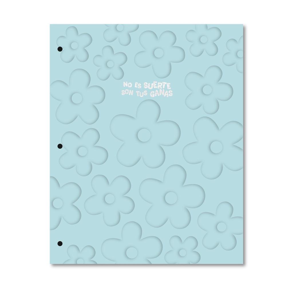 CARPETA 2 TAPAS Nº3 RY PASTEL