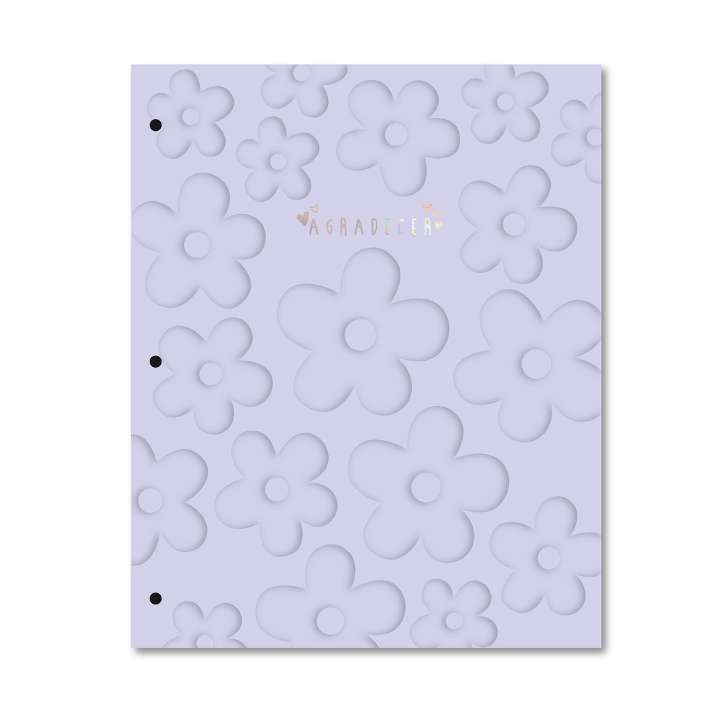 CARPETA 2 TAPAS Nº3 RY PASTEL