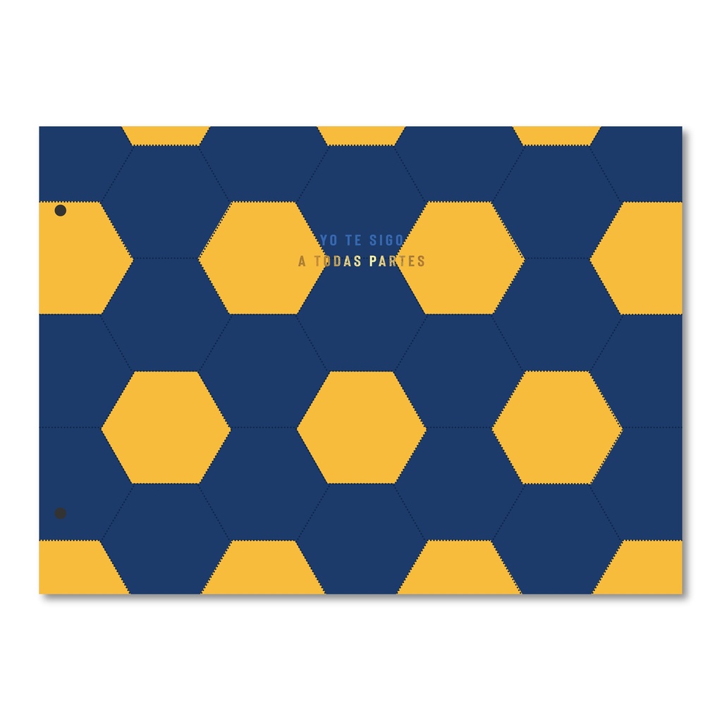 CARPETA 2 TAPAS Nº5 RY GOALS